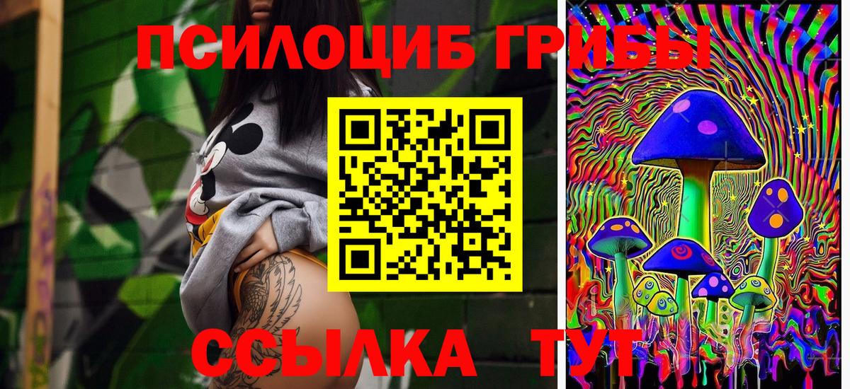 Галлюциногенные грибы прущие грибы Горячий Ключ