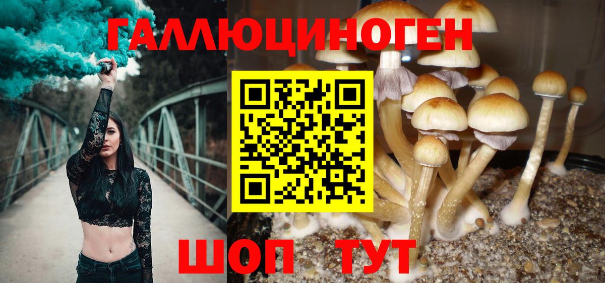 Псилоцибиновые грибы Cubensis  Псилоцибиновые грибы Cubensis  Горячий Ключ  Вход с VPN 